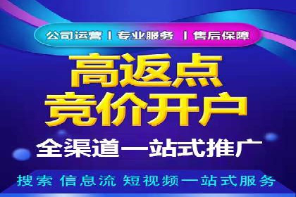 某电商企业如何通过百度竞价广告提升销售额